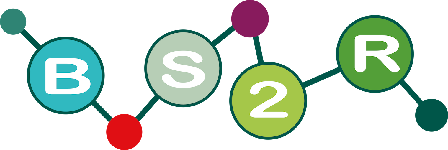 Project logo